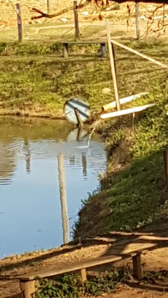 Sítio, 3 m² - Foto 41