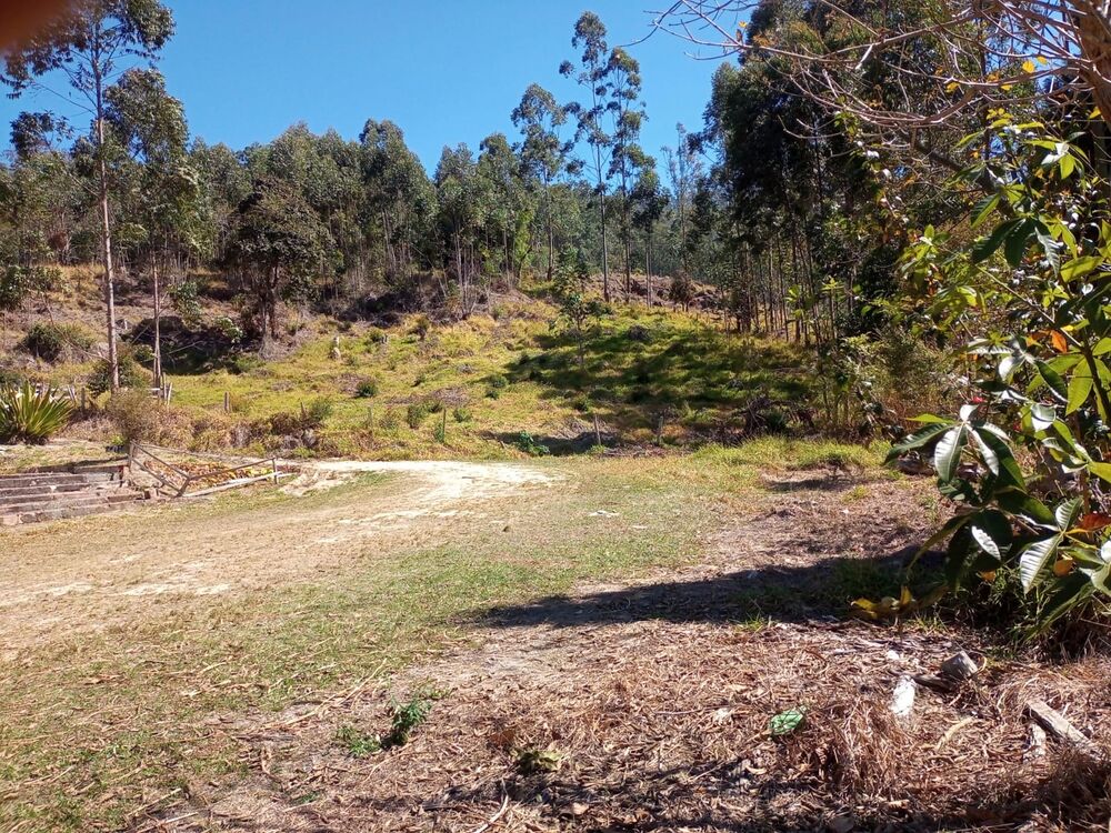 Sítio, 3 quartos, 5 m² - Foto 11