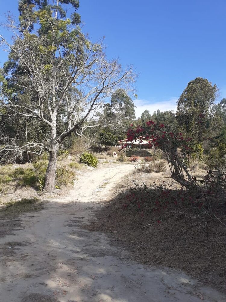 Sítio, 3 quartos, 5 m² - Foto 37