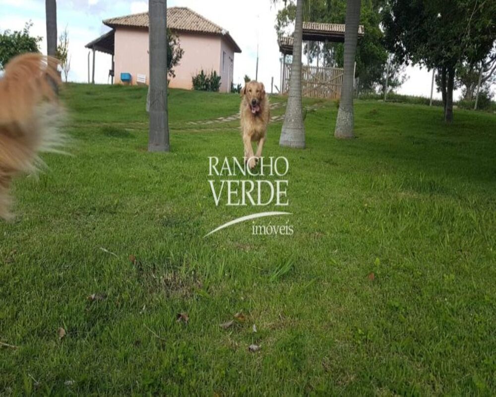 Fazenda-Sítio-Chácara, 80 hectares - Foto 28