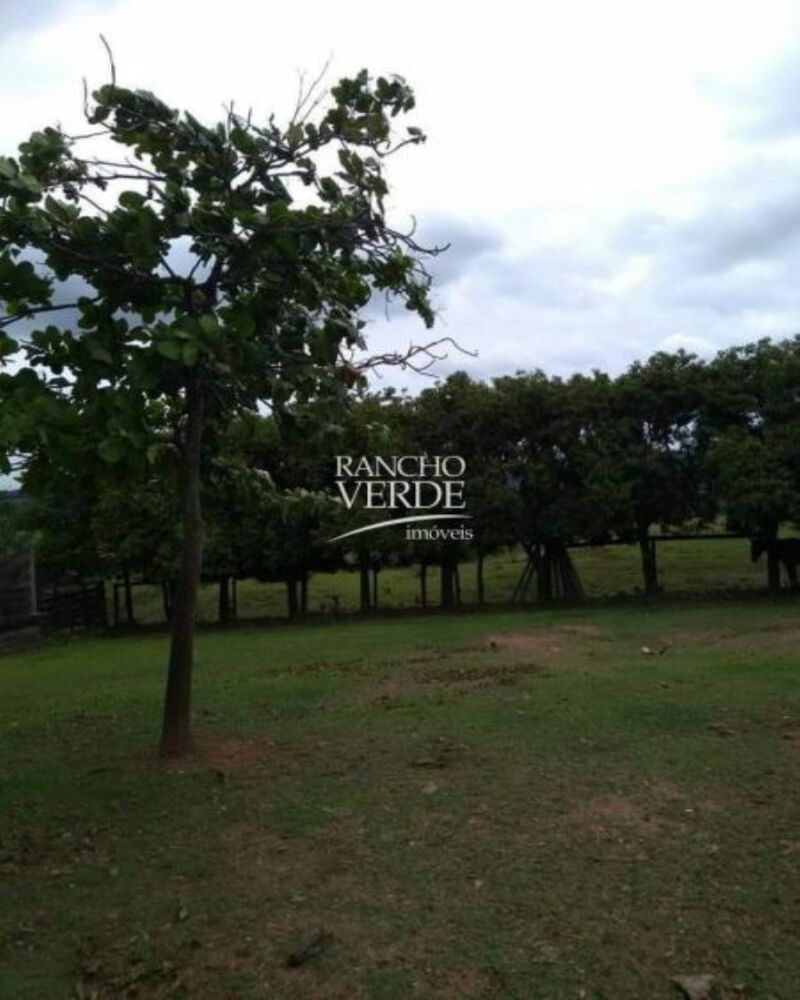Fazenda-Sítio-Chácara, 80 hectares - Foto 21