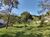 Fazenda, 4852 m² - Foto 3