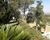 Chácara, 1 quarto, 2 hectares - Foto 4