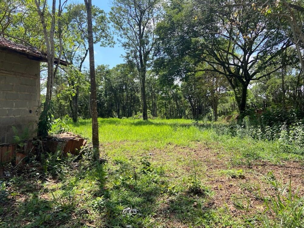 Chácara, 2 quartos, 2 hectares - Foto 2