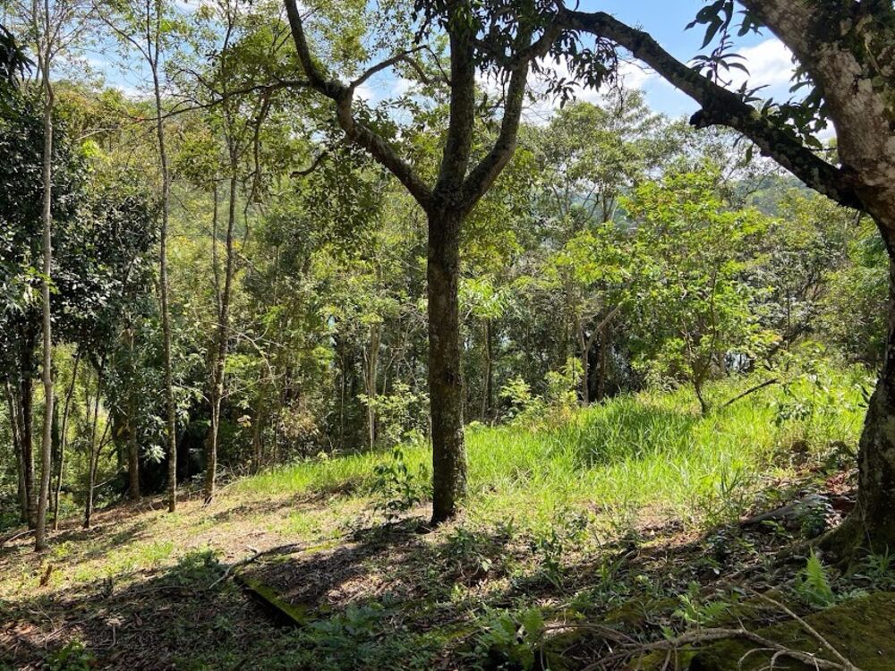 Chácara, 2 quartos, 2 hectares - Foto 8