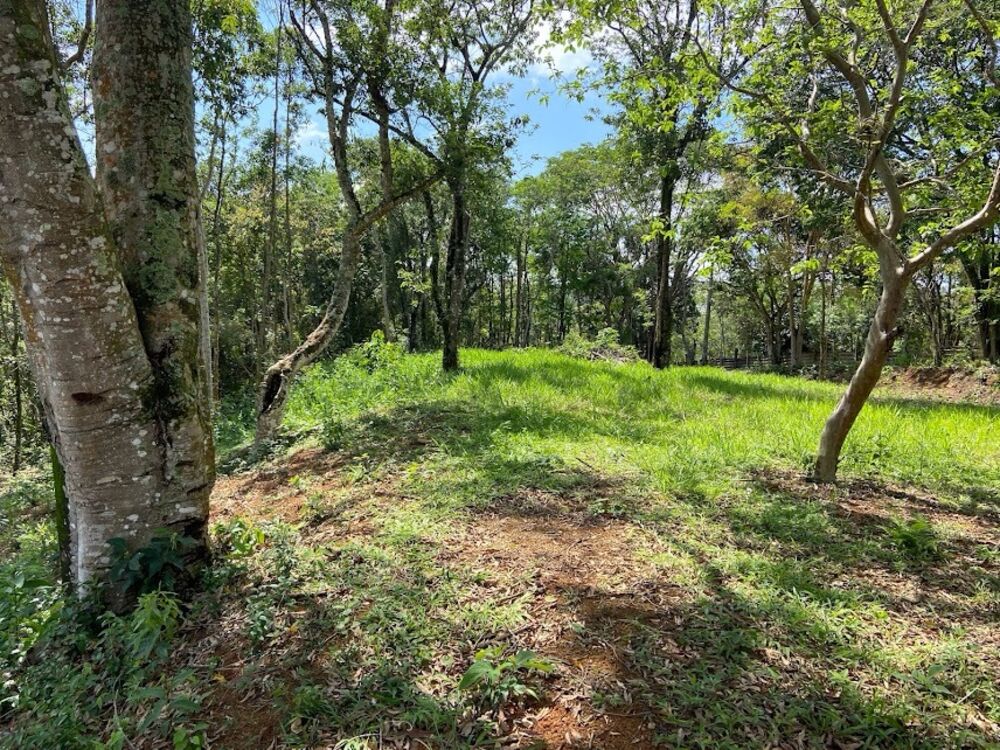 Chácara, 2 quartos, 2 hectares - Foto 5