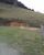 Sítio, 3 quartos, 31 hectares - Foto 7