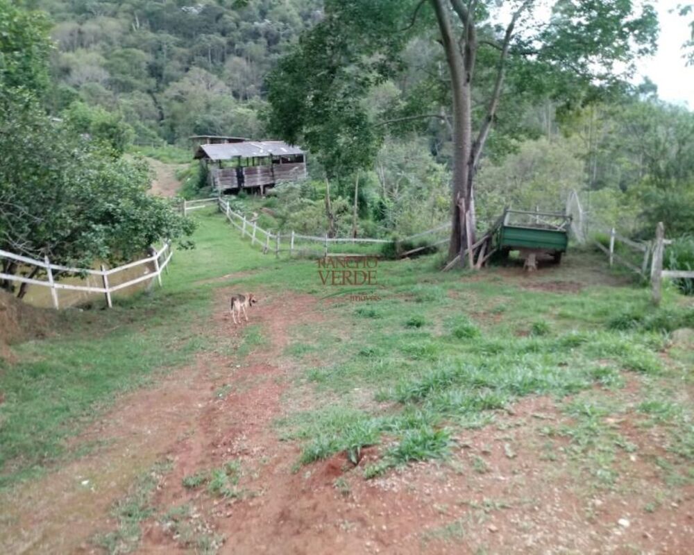 Sítio à venda com 4 quartos, 387200m² - Foto 14