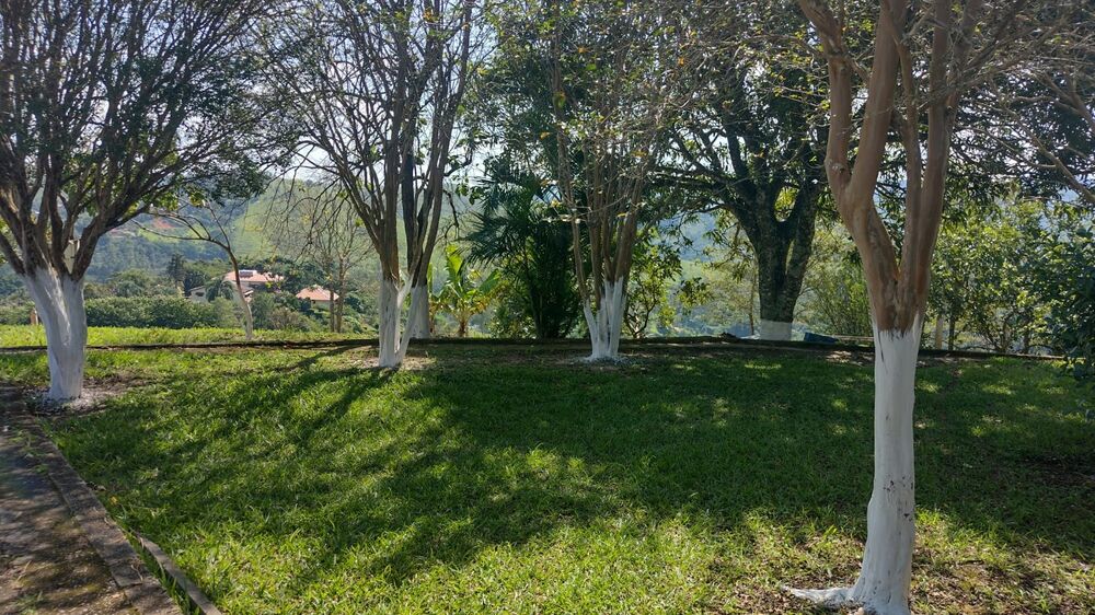 Chácara à venda com 2 quartos, 20000m² - Foto 16