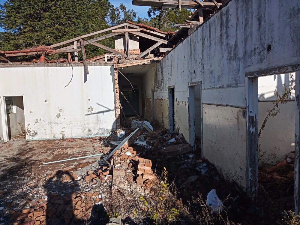 Terreno, 8300 m² - Foto 9