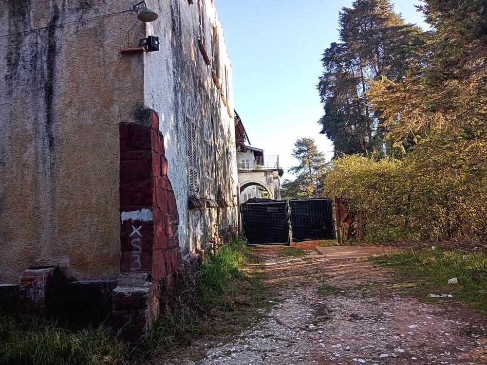 Terreno, 8300 m² - Foto 2