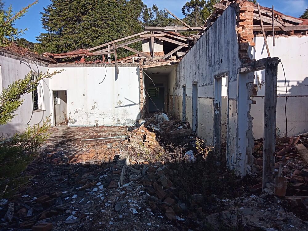 Terreno, 8300 m² - Foto 6