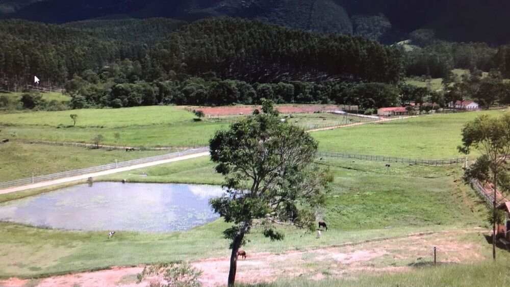 Fazenda à venda com 4 quartos, 40m² - Foto 23