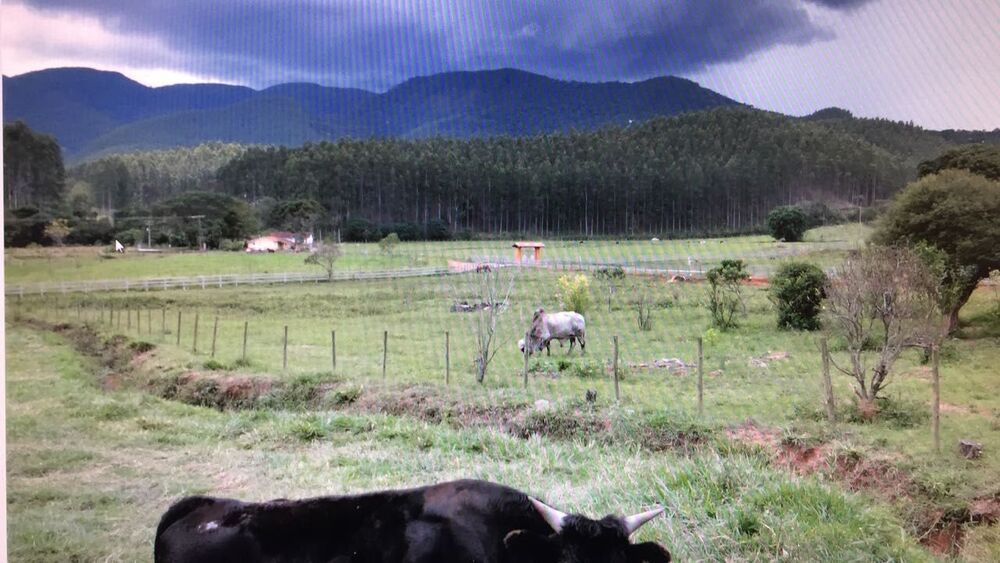 Fazenda à venda com 4 quartos, 40m² - Foto 25