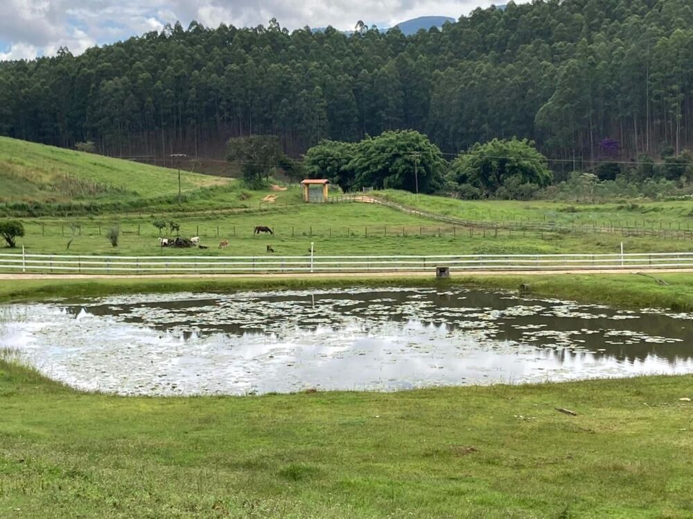 Fazenda à venda com 4 quartos, 40m² - Foto 9