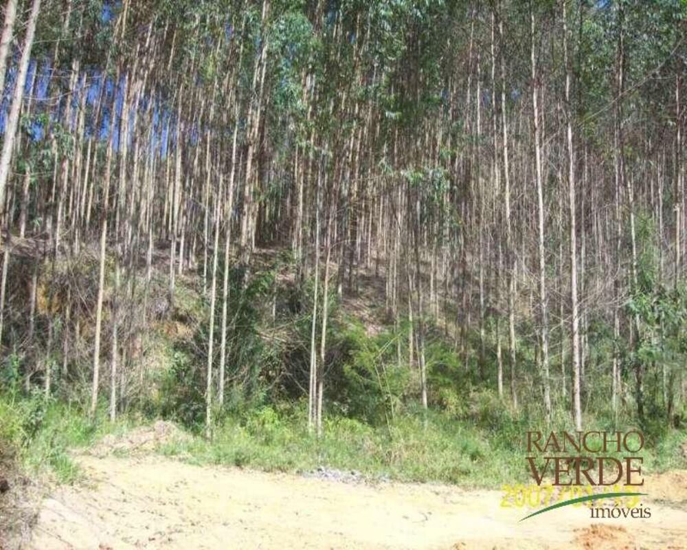 Fazenda-Sítio-Chácara, 209 hectares - Foto 4