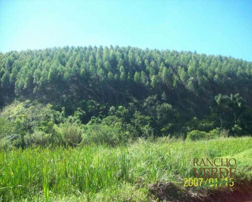 Fazenda-Sítio-Chácara, 209 hectares - Foto 3
