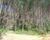 Fazenda-Sítio-Chácara, 209 hectares - Foto 4