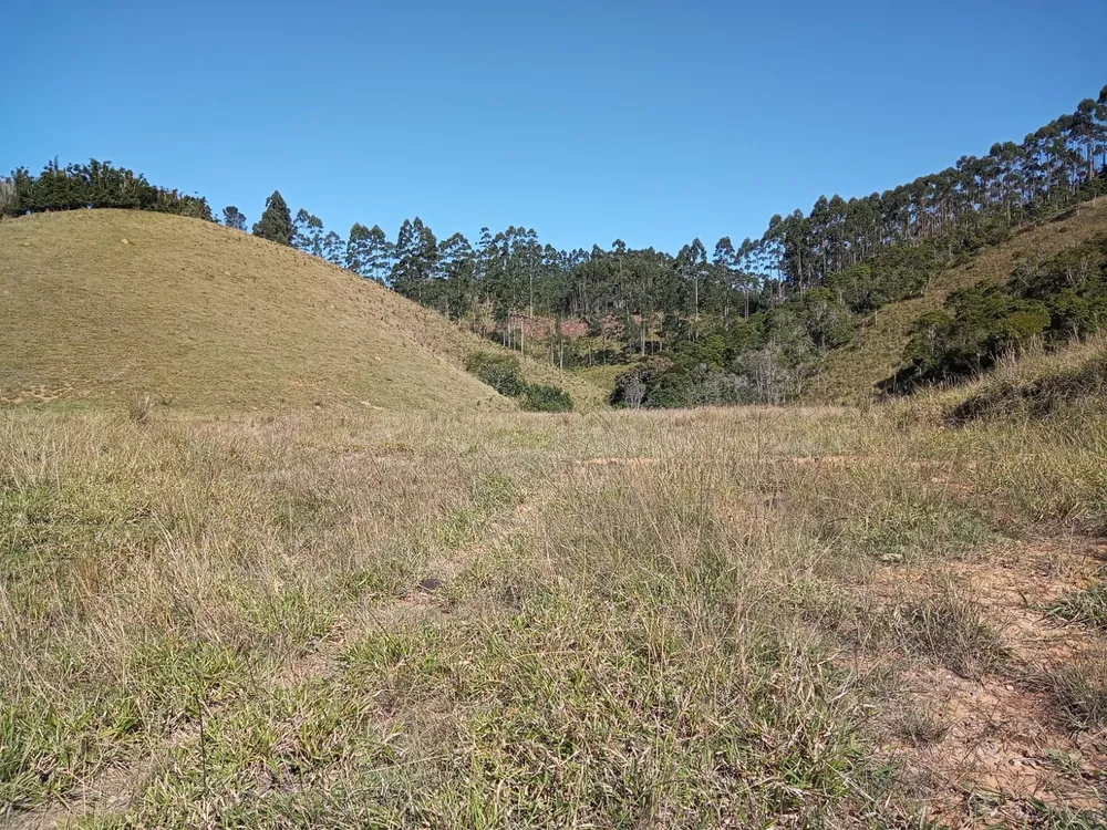 Fazenda à venda, 40m² - Foto 6