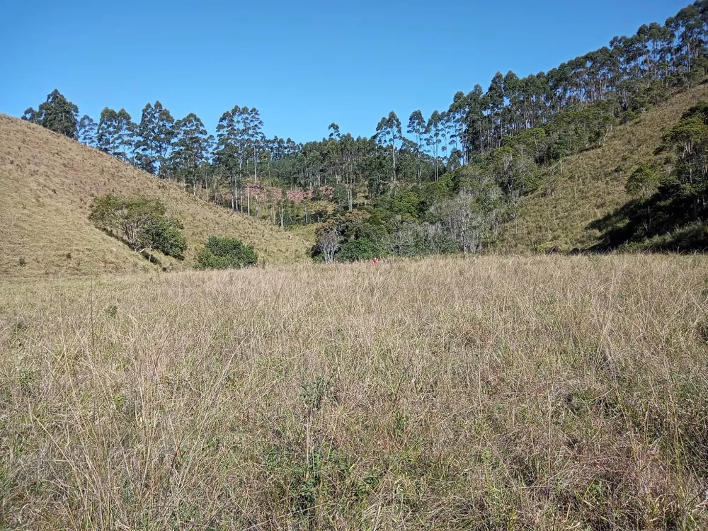 Fazenda à venda, 40m² - Foto 3