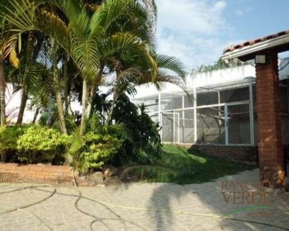 Chácara, 3 quartos, 6000 m² - Foto 3