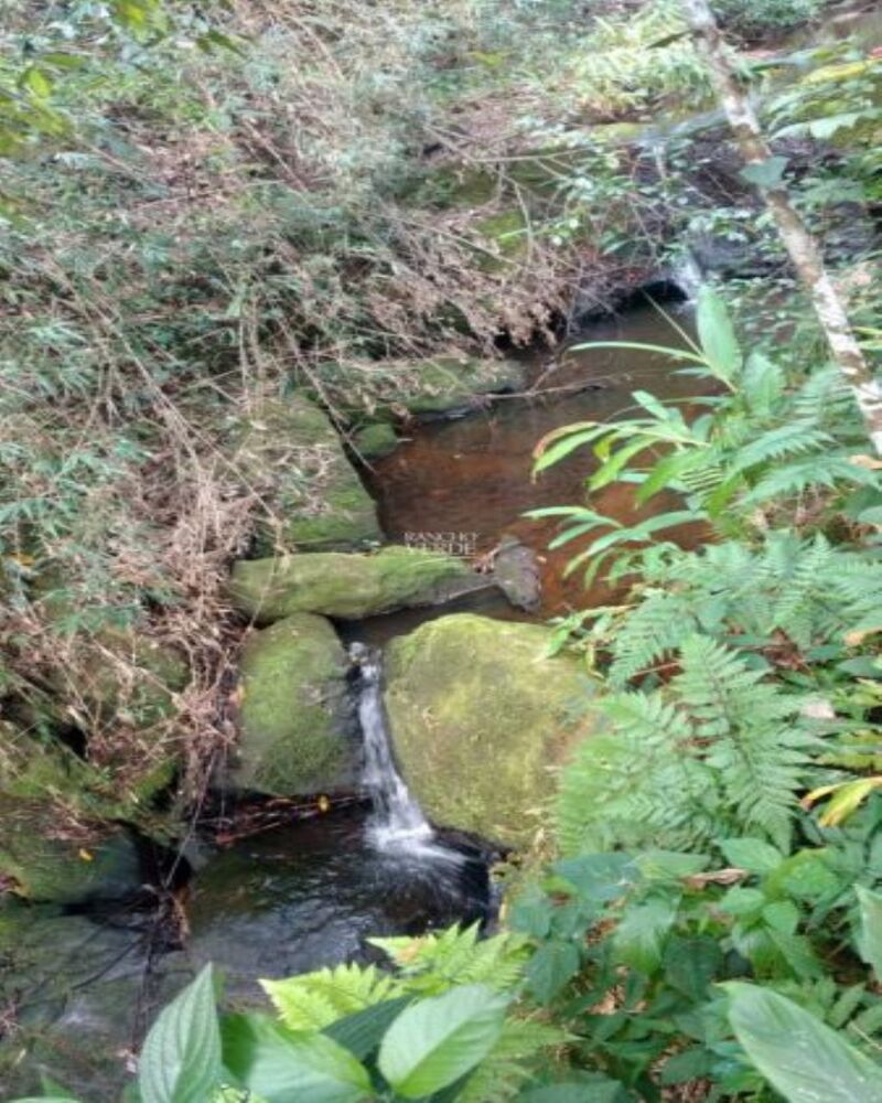 Chácara, 2 quartos, 19 hectares - Foto 12