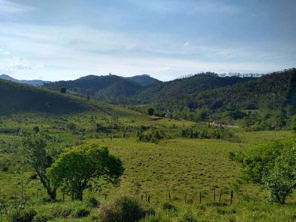 Haras e Área Rural Padrão à venda, 14m² - Foto 3