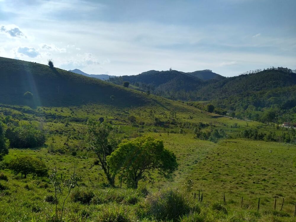 Haras e Área Rural Padrão à venda, 14m² - Foto 1