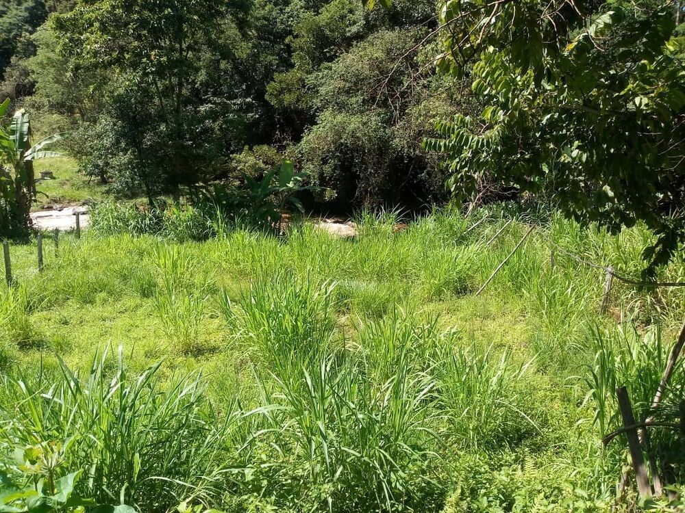 Fazenda, 1000 m² - Foto 1