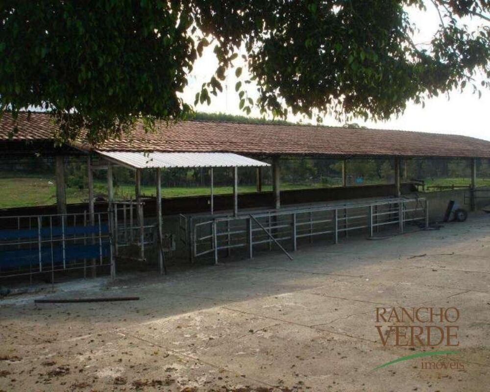 Fazenda, 128 hectares - Foto 3