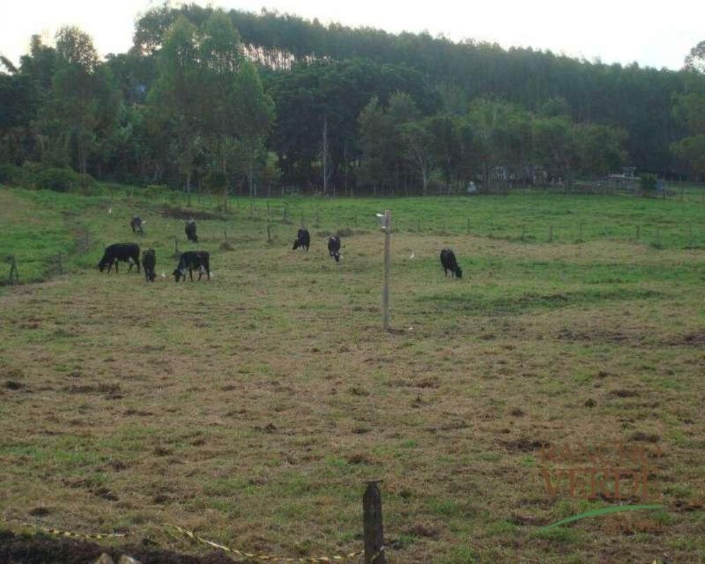 Fazenda, 128 hectares - Foto 4