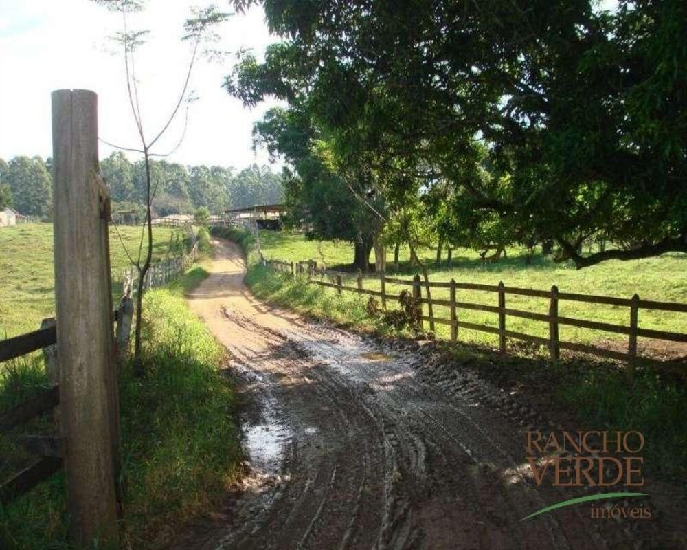Fazenda, 128 hectares - Foto 2