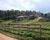 Fazenda-Sítio-Chácara, 128 hectares - Foto 1