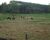Fazenda-Sítio-Chácara, 128 hectares - Foto 4