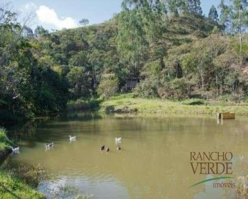 Sítio à venda com 5 quartos, 33000m² - Foto 4