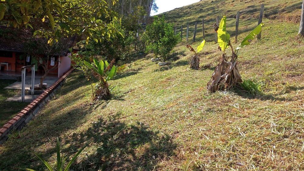 Chácara, 1 quarto, 2 hectares - Foto 12