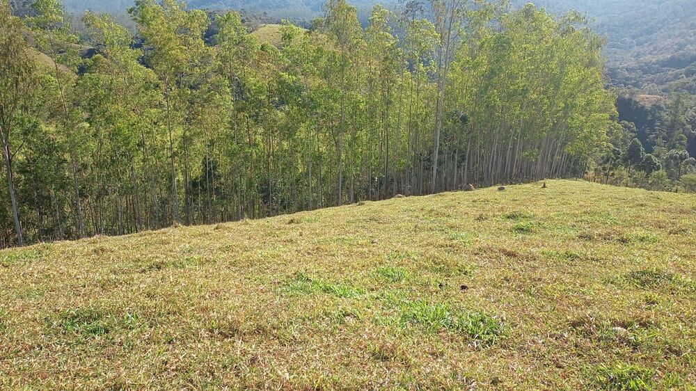 Chácara, 1 quarto, 2 hectares - Foto 7