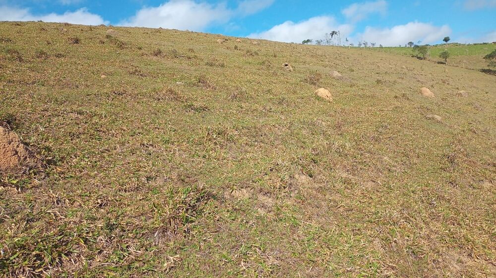 Chácara, 1 quarto, 2 hectares - Foto 5