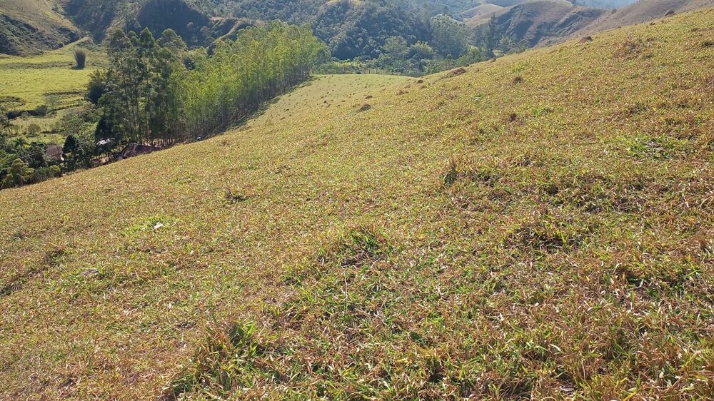 Chácara, 1 quarto, 2 hectares - Foto 3