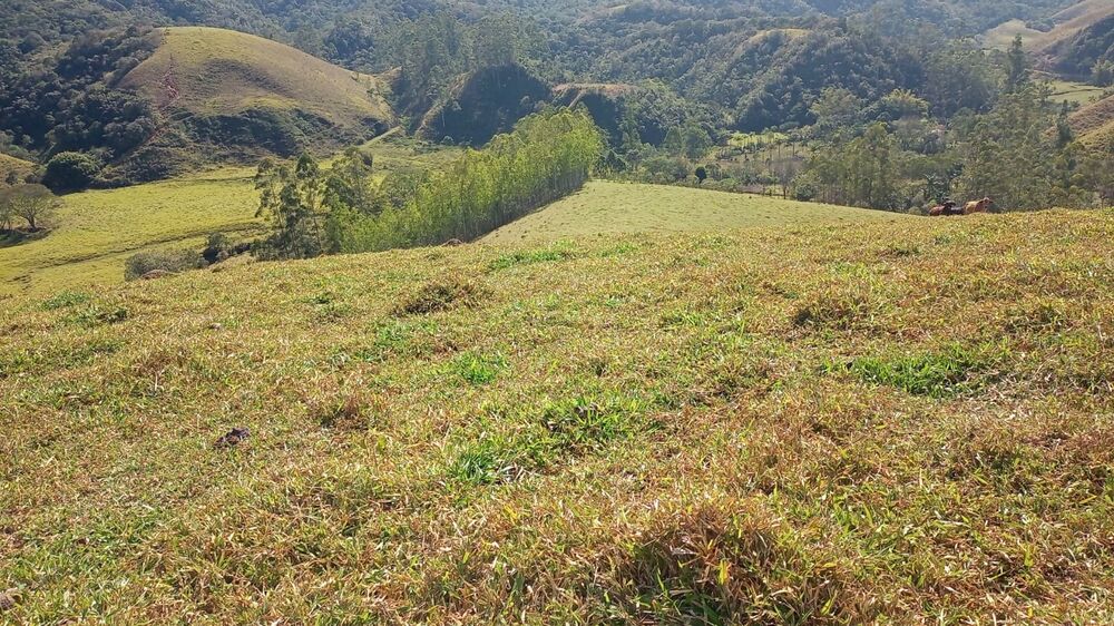 Chácara, 1 quarto, 2 hectares - Foto 11