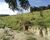 Fazenda, 126 hectares - Foto 3
