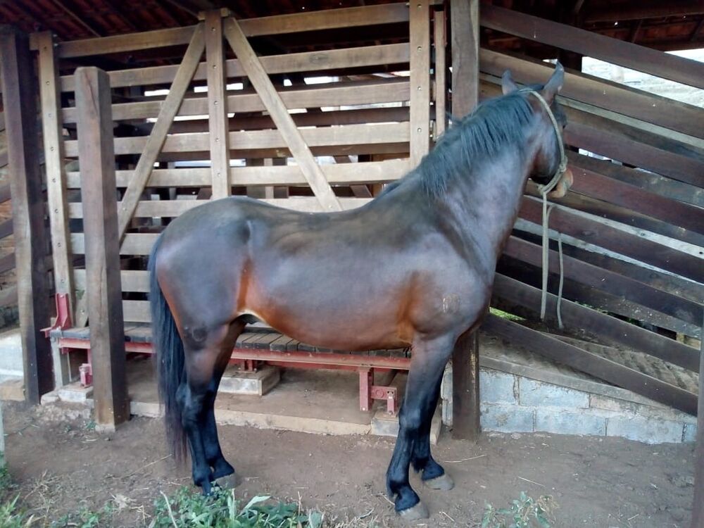 Fazenda, 22 m² - Foto 44