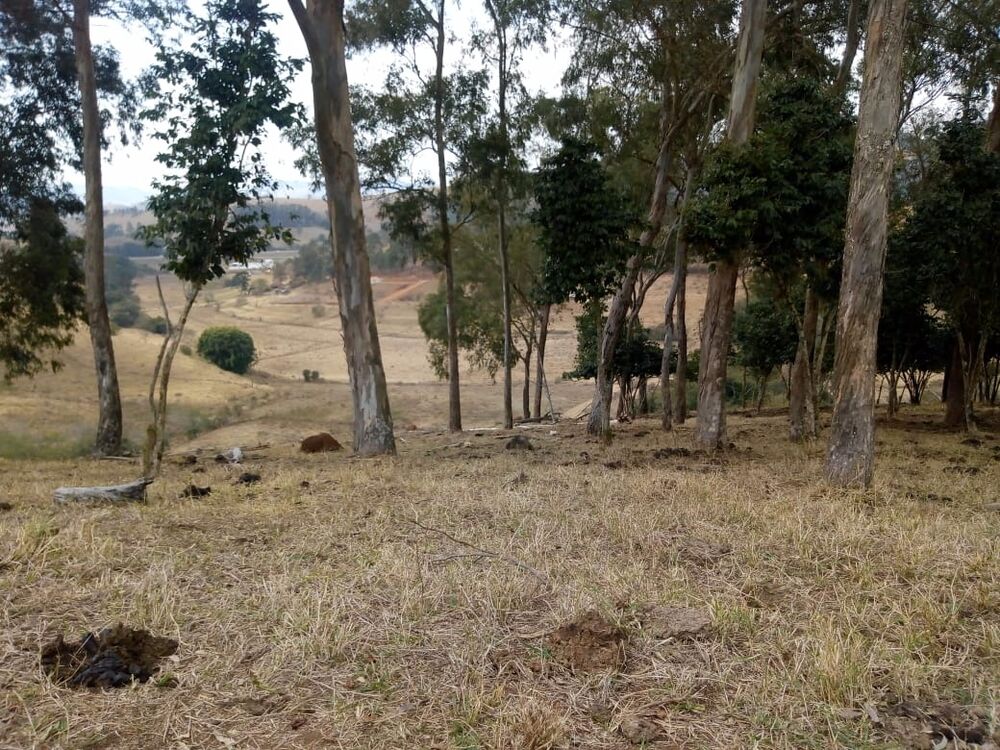 Fazenda, 22 m² - Foto 9