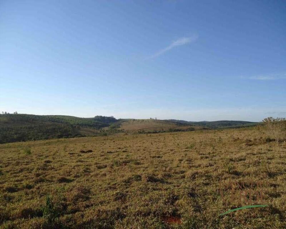 Fazenda, 1 hectares - Foto 4