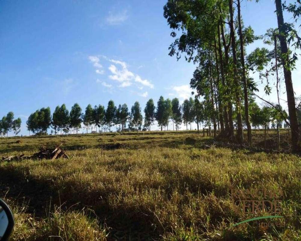 Fazenda, 1 hectares - Foto 3