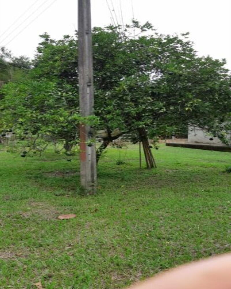 Fazenda à venda com 3 quartos, 1306800m² - Foto 2