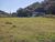Chácara, 3 quartos, 5000 m² - Foto 4