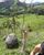 Fazenda-Sítio-Chácara, 28 hectares - Foto 2