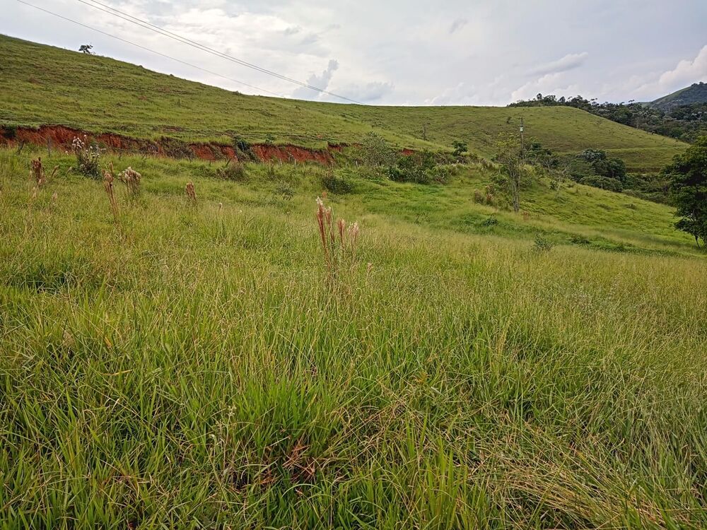 Fazenda, 8 m² - Foto 12