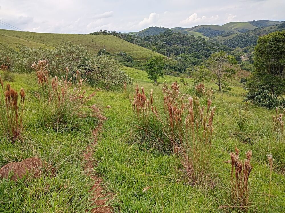 Fazenda, 8 m² - Foto 14